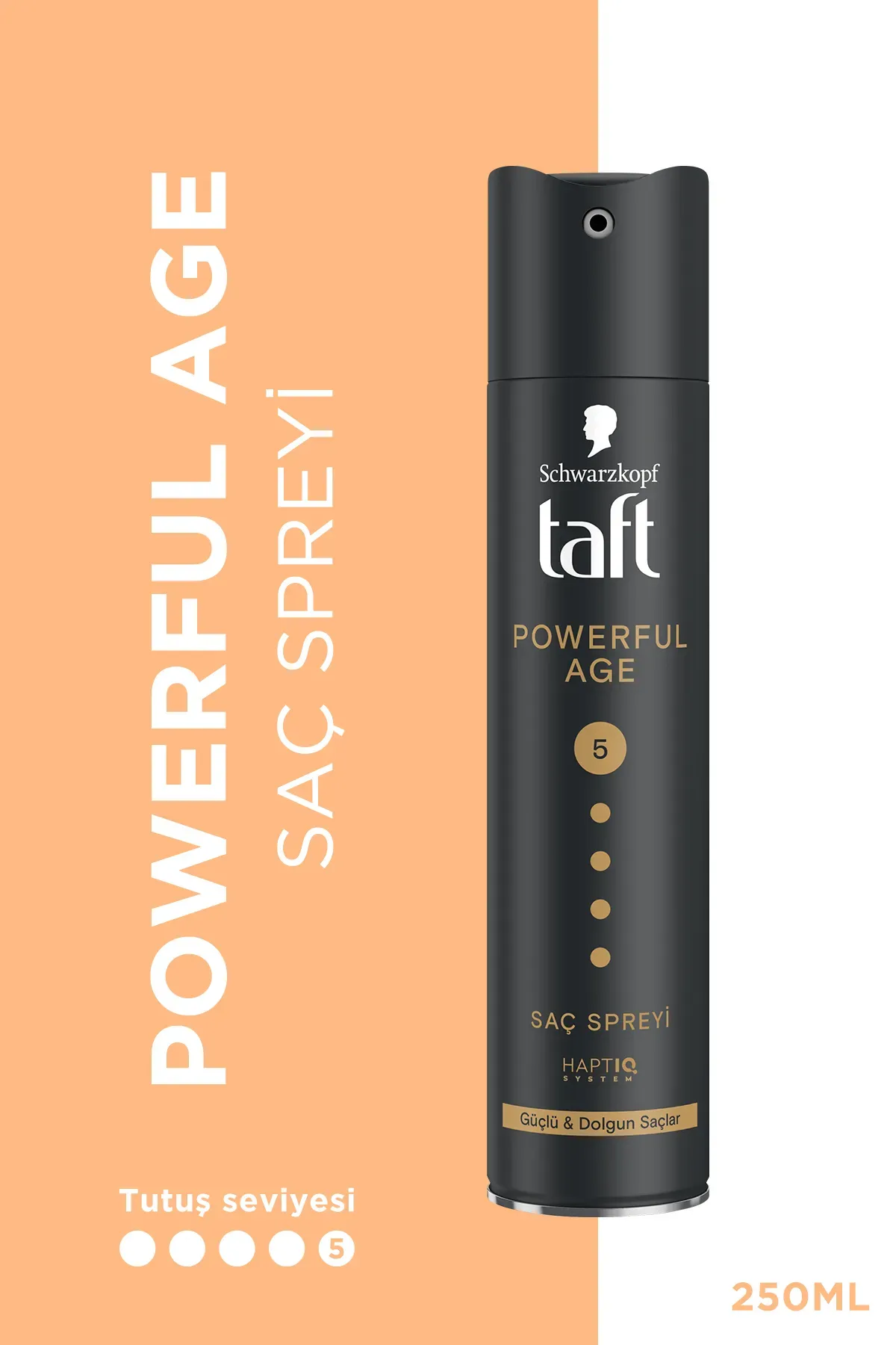 Taft Powerful Age Saç Spreyi 250 ml